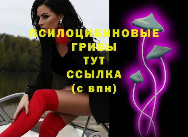 таблы Козловка
