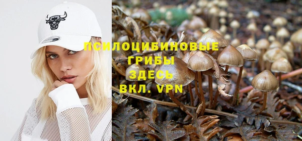 таблы Козловка