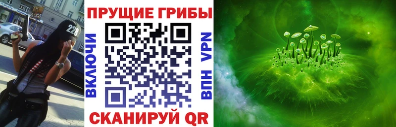 Галлюциногенные грибы Psilocybine cubensis  Купить закладки  Анапа 